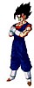 vegetto2.jpg